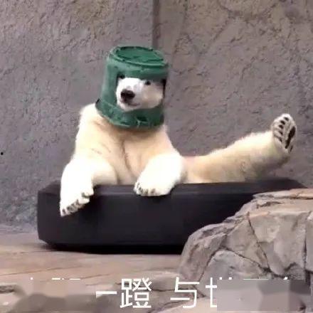 爆料最新角色沙雕图片大全,盘点最新爆笑形象大盘点  第1张