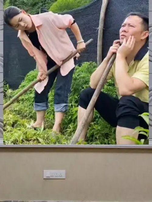 娱乐八卦一定是吃瓜群众,揭秘“吃瓜群众”的娱乐八卦盛宴  第2张